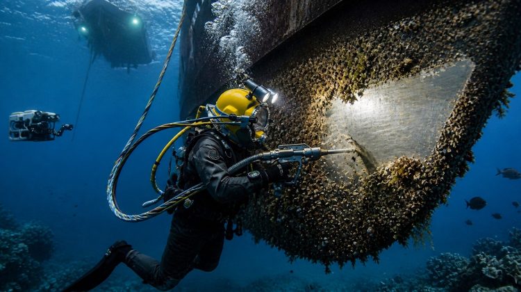 Australia & New Zealand Standard Hull Cleaning