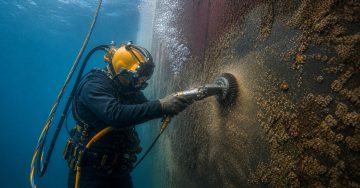 In-water Services